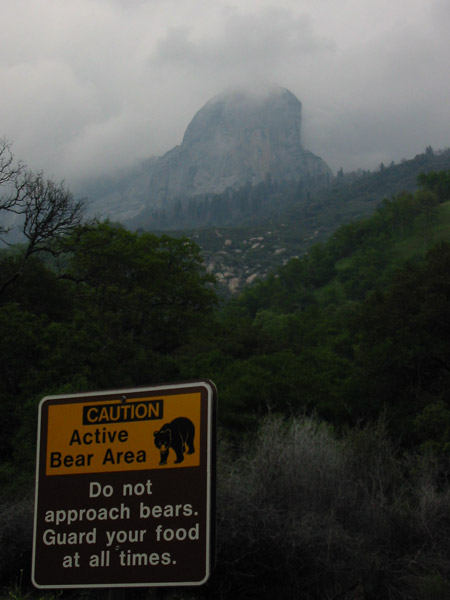 Bear warning in Sequoia NP, CA