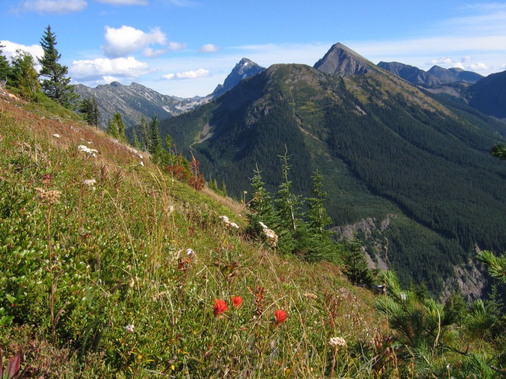 Looking south from Skyline II trail, Manning Provincial Park, BC